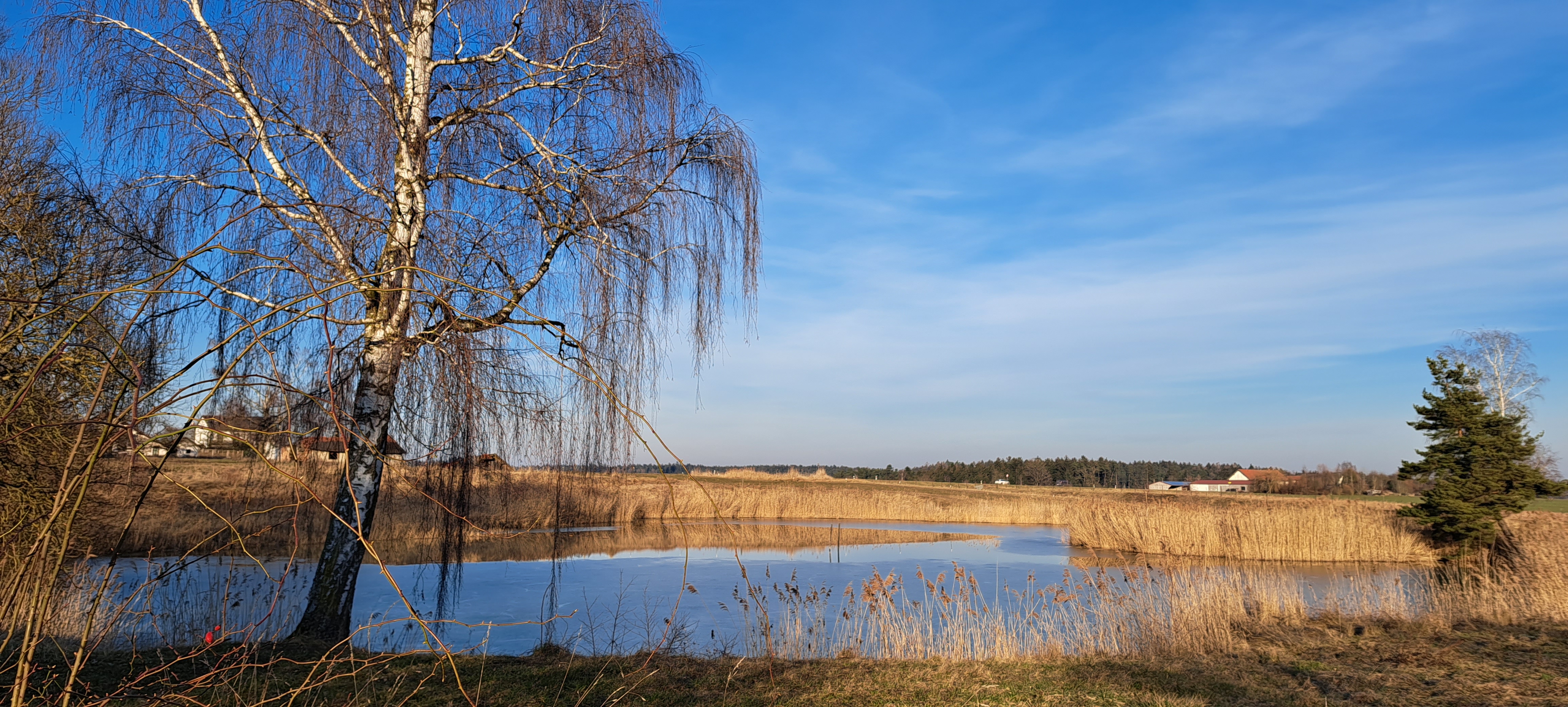 März-Bild aus dem Kröniger Familienkalender 2024 von Maria Dengler "Ziegeleiweiher in JEsendorf"